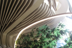 IMG_0040