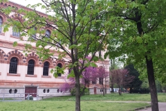 20160404_093456
