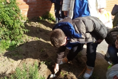 i bambini seminano