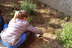 i bambini seminano