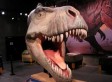 Visita al Paleolab